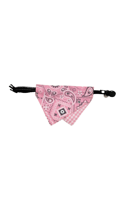 The "Yeehaw Cat " Bandana